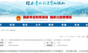 国家林草局：风电场项目改造升级应尽量减少新增使用林地